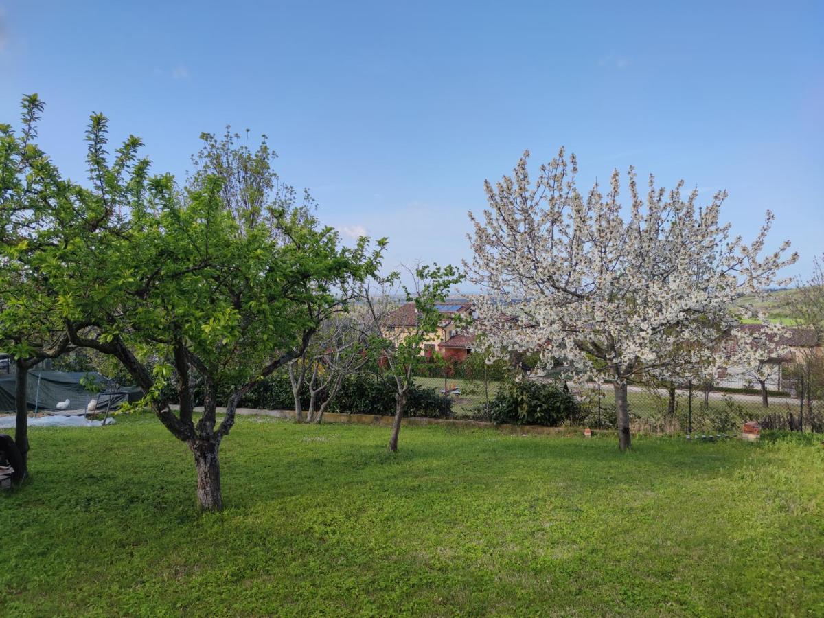 דירות Torriana Relax In Collina A Due Passi Dal Mare מראה חיצוני תמונה