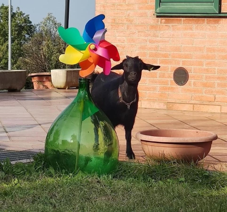 דירות Torriana Relax In Collina A Due Passi Dal Mare מראה חיצוני תמונה